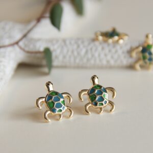 Topos Tortugas