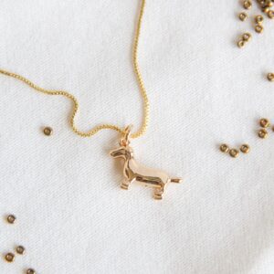 Cadenita Perro Salchicha